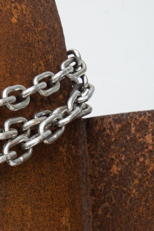 CNF Constitution Dock Details-13