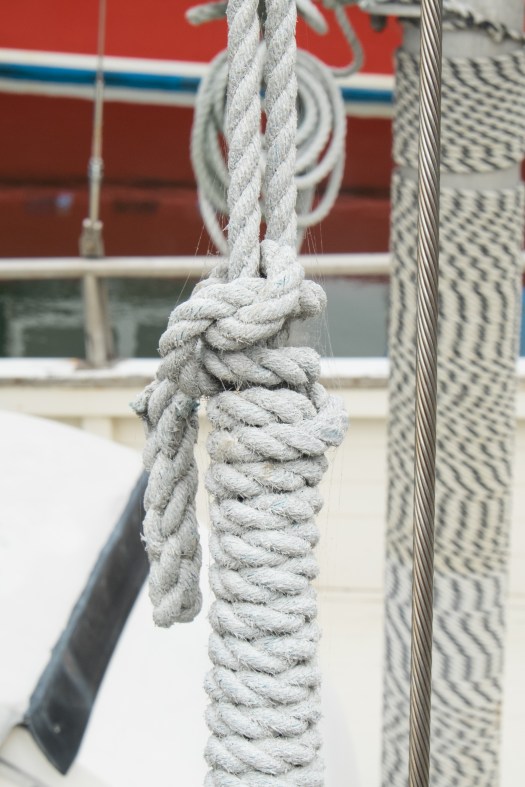 CNF Constitution Dock Details-23